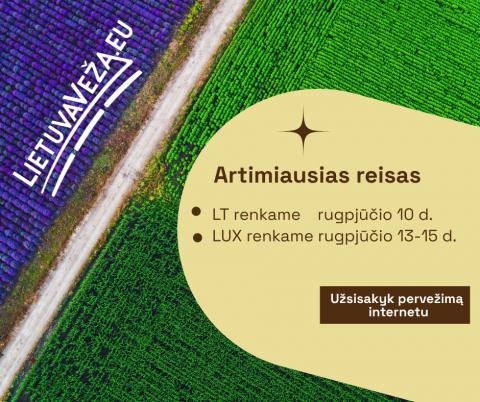 LIETUVAVEZA.EU  rugpjūčio 10-15 d.d.